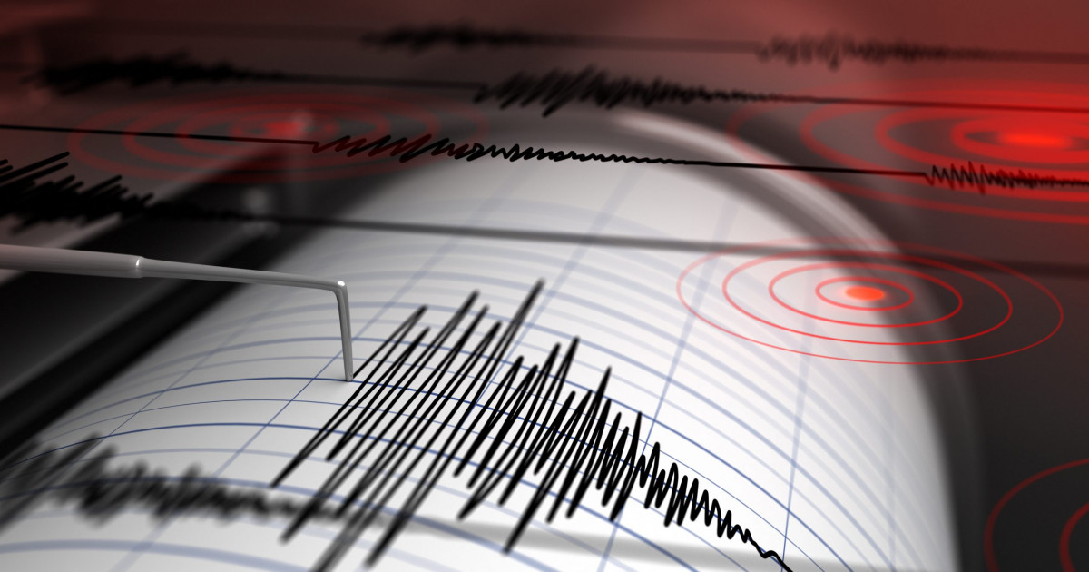 Cutremur în Vrancea. Seismul a avut magnitudinea de 4,1