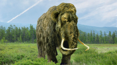 mamut lanos