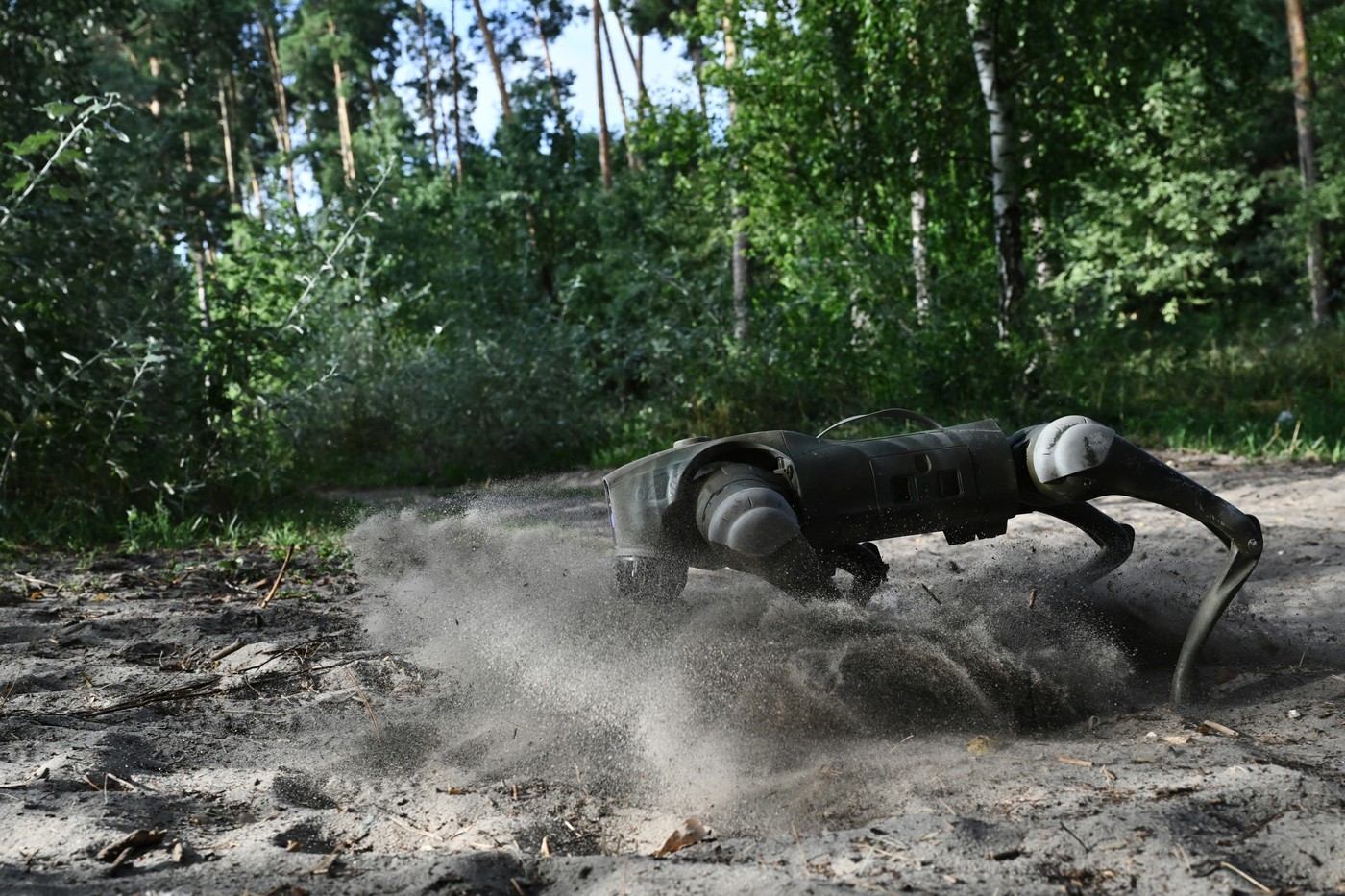 Cum folosesc ucrainenii câini-roboți pe front pentru a respinge invazia rusă: „În cele din urmă, salvează vieţi"
