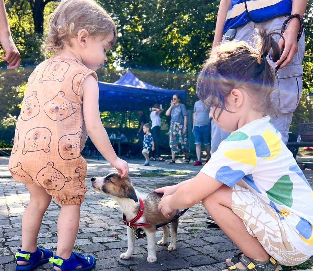 Târg de adopții pentru căței, sâmbătă, în Parcul Bazilescu din București
