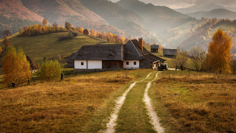 șimon brașov românia