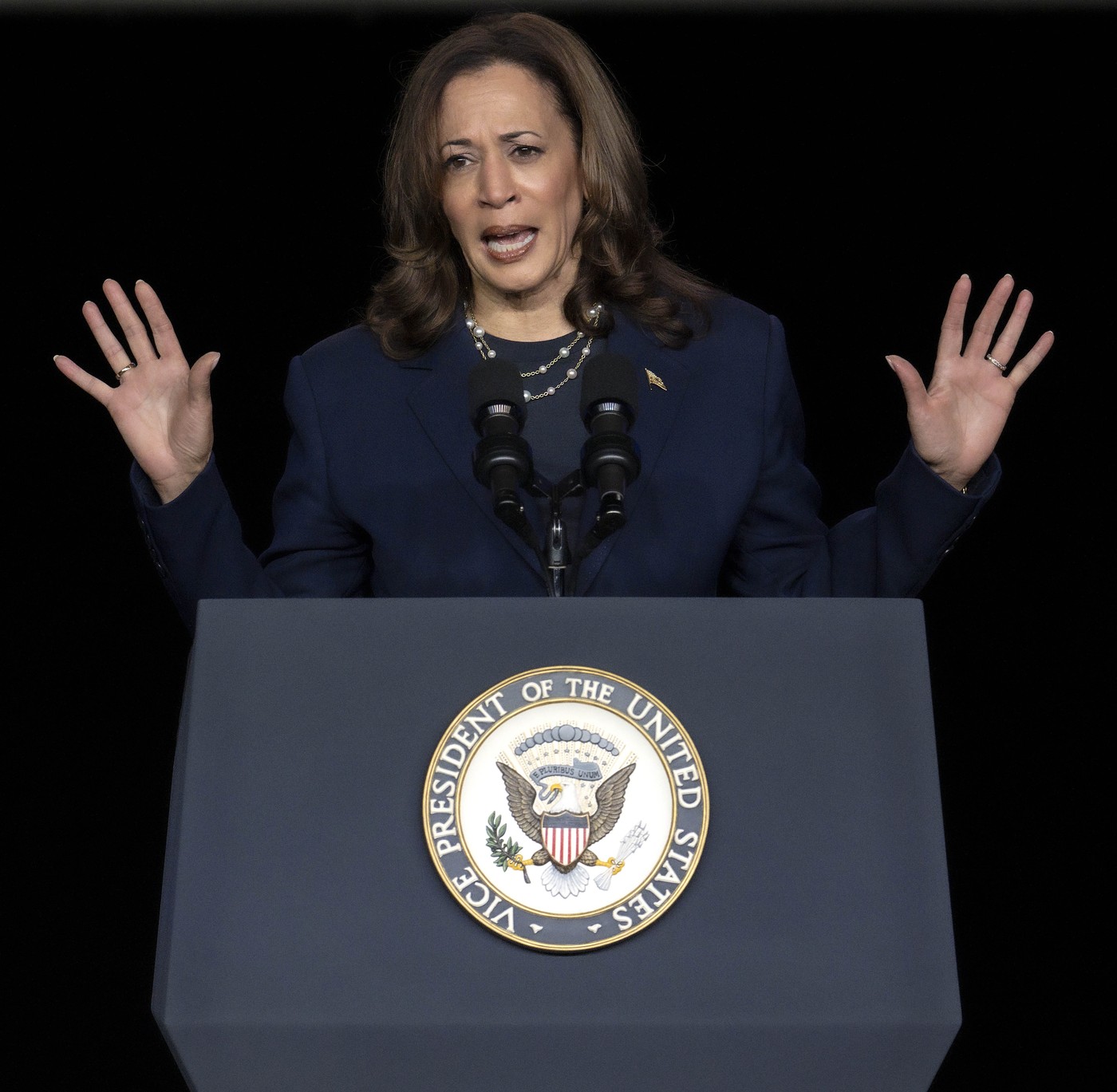 Cum răspunde Kamala Harris atacurilor lui Donald Trump asupra identității ei rasiale
