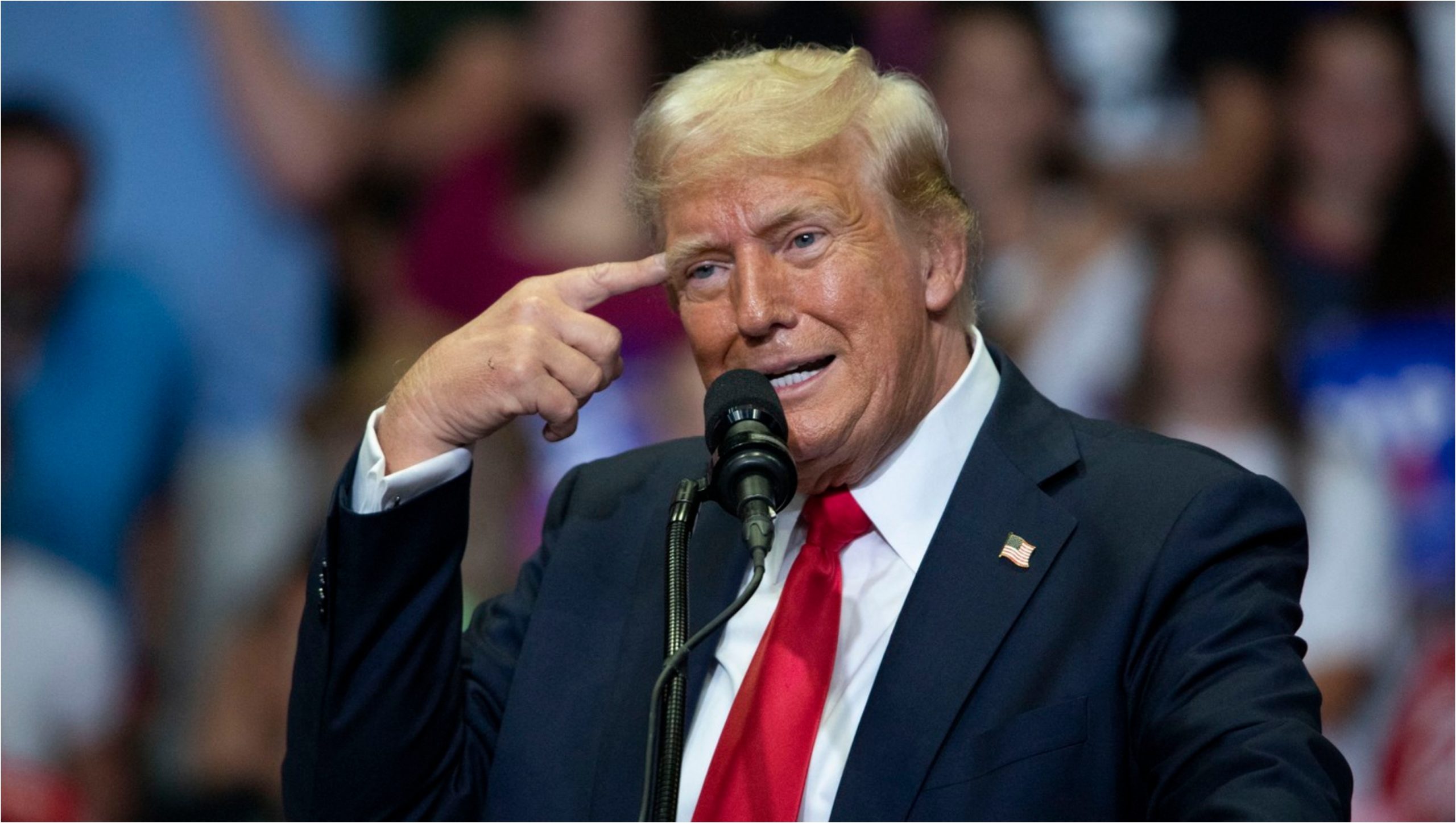 Nepotul lui Trump a anunțat că va vota pentru Kamala Harris. „Fiecare familie are un unchi nebun”