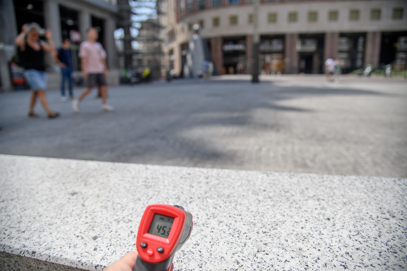 Pădurile plantate în jurul orașelor pot reduce căldura urbană. Cum se întâmplă acest lucru