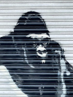 Banksy enthusiast reckons he�s spotted �final mural� - at London Zoo