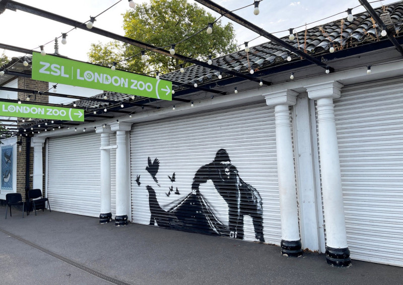 Banksy enthusiast reckons he�s spotted �final mural� - at London Zoo