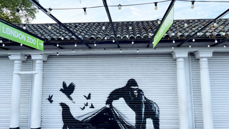 Banksy enthusiast reckons he�s spotted �final mural� - at London Zoo