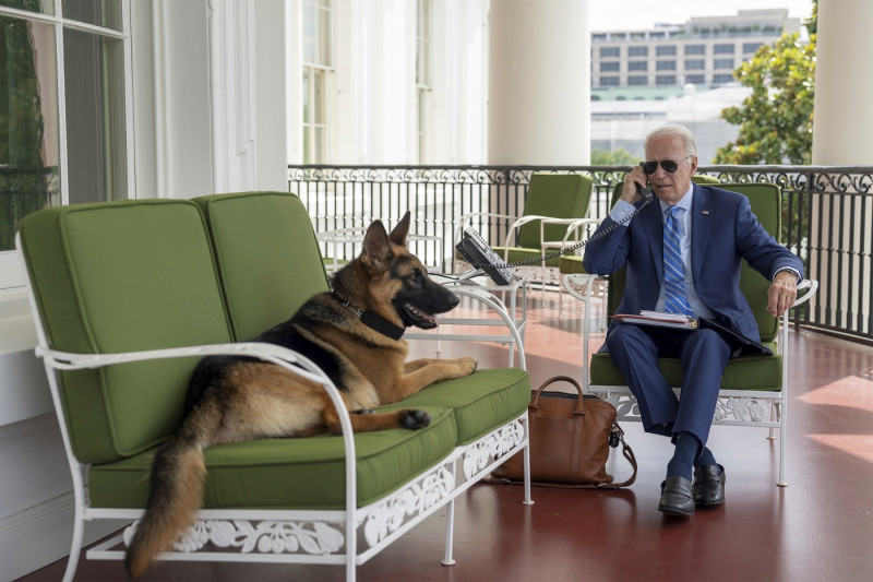 U.S President Joe Biden Working from Home with His Dog Champ