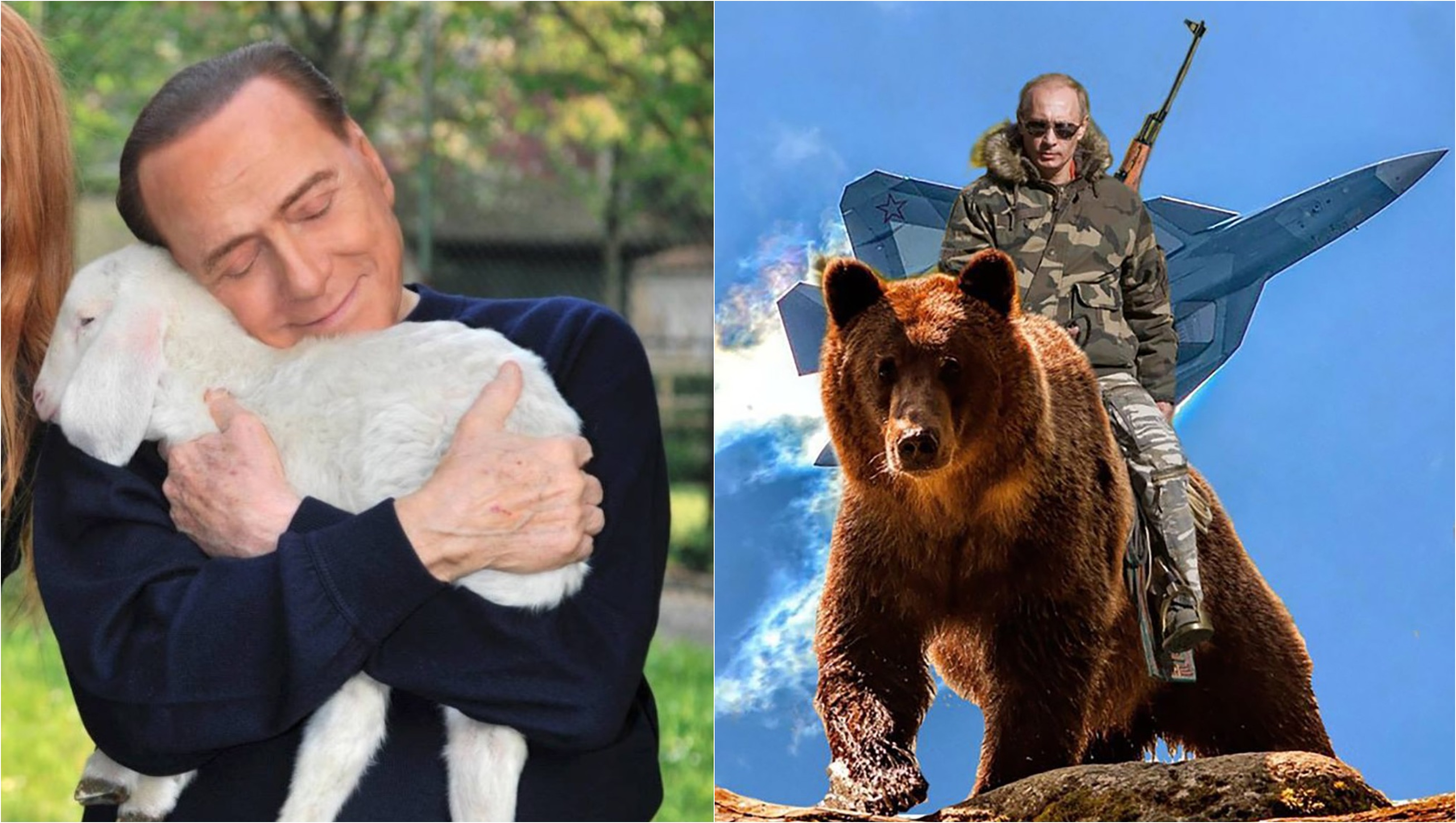 Mielușeii lui Berlusconi, tigrul care l-a atacat pe Putin și Codruț cel fioros. Animalele folosite în strategia de PR a liderilor lumii