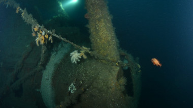 Epava HMS Hawke.