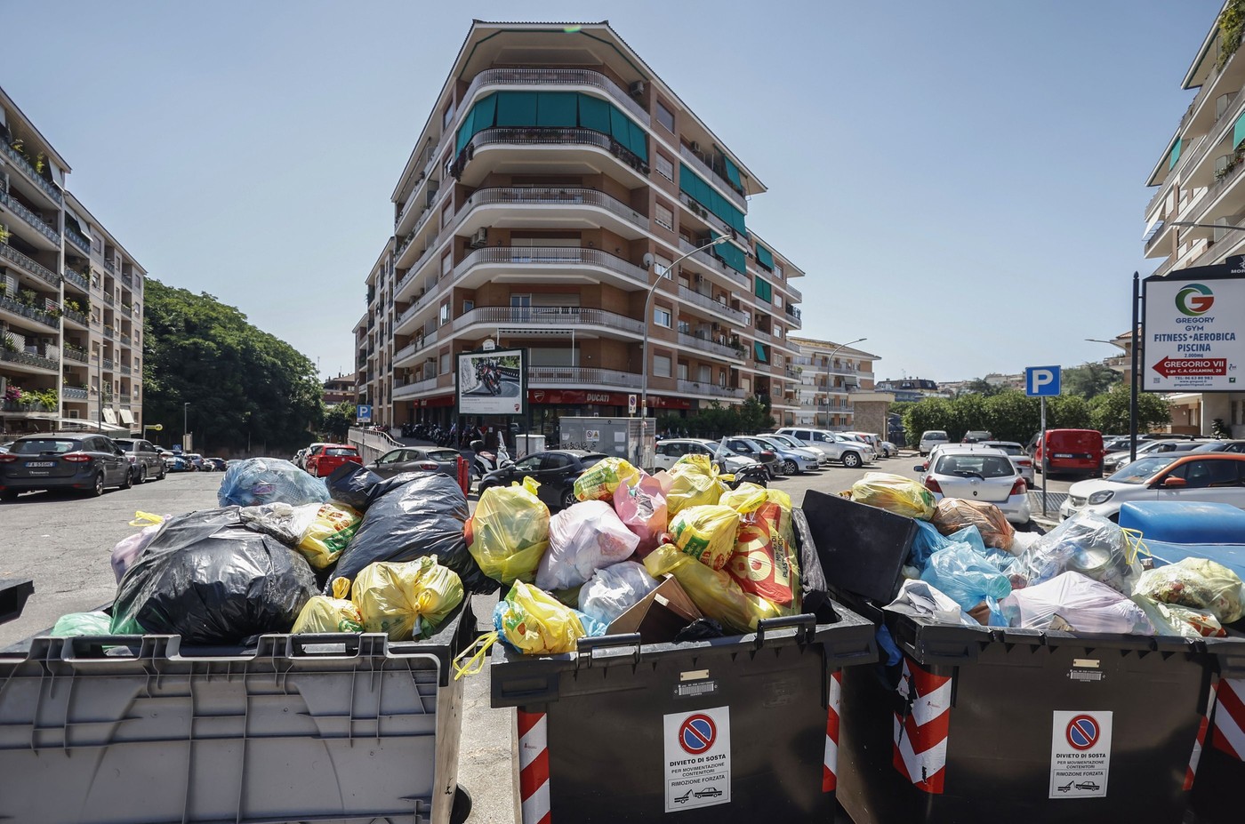 „Este o adevărată junglă”: Un zoolog spune că Roma este infestată de şobolani şi şerpi din cauza gunoaielor și temperaturilor ridicate