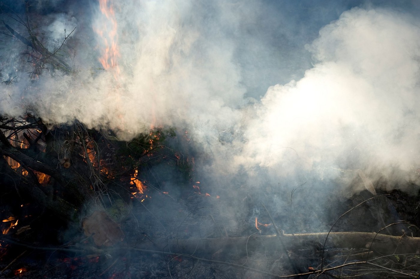 Incendiu puternic într-o pădure din Băile Olăneşti. Zeci de pompieri încearcă să stingă focul care a izbucnit de vineri
