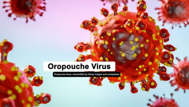 Oropouche virus that causes Oropouche fever, an emergent disease from the Americas