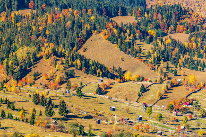 Stațiunea Bușteni, Valea Prahovei, România. Foto Shutterstock