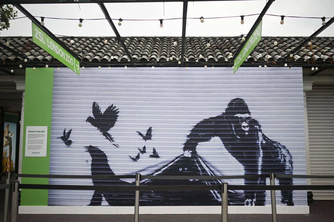 Grădina zoologică din Londra a înlăturat lucrarea lui Banksy pentru „siguranță”. O pictură murală, vandalizată săptămâna trecută
