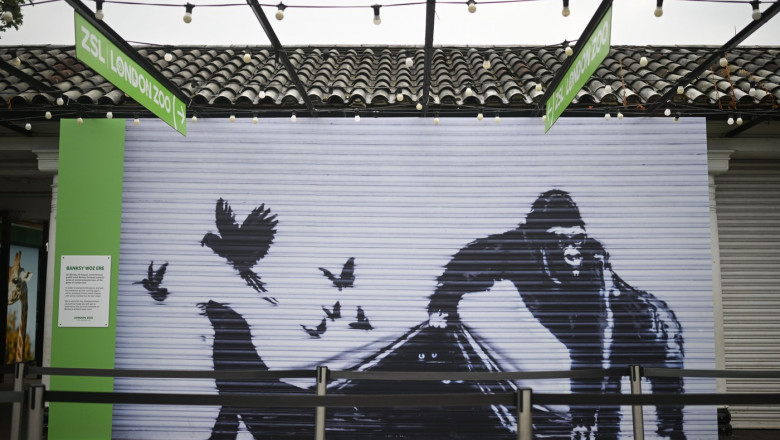 Banksy artwork removed at London Zoo for 'safekeeping', UK - 19 Aug 2024