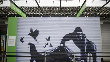 Banksy artwork removed at London Zoo for 'safekeeping', UK - 19 Aug 2024