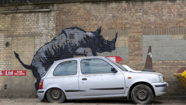 Mural al artistului Banksy în Londra ce înfățișează un rinocer care pare să se cațere pe o mașină care are un con rutier pe capotă