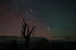 Perseid meteor showers captured in Yosemite National Park of California