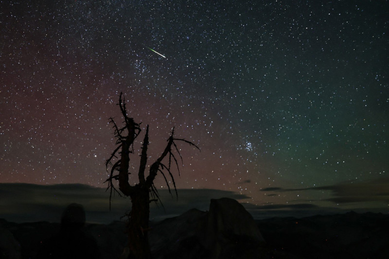 Perseid meteor showers captured in Yosemite National Park of California