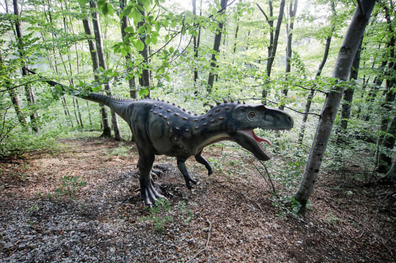 Destinatii de vacanta in Romania-pentru familii cu copii. Dino-Parc. Foto: Profimedia