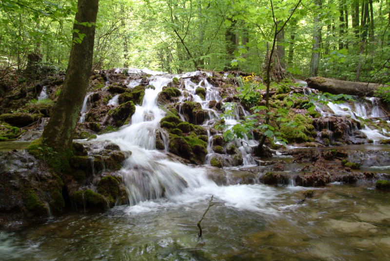 Cascada Beușniței. Foto Shutterstock