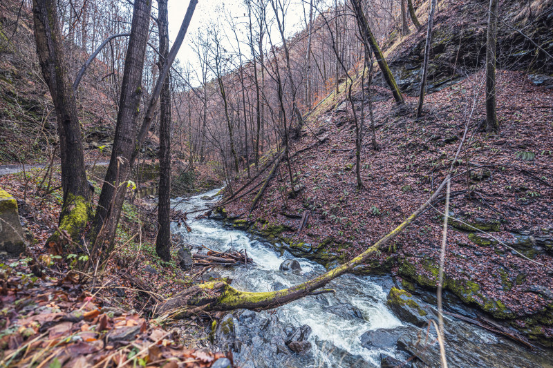 Cascada Lotrișor. Foto Shutterstock