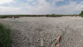 COMANA - DELTA NEAJLOVULUI - SECETA - 28 AUG 2024