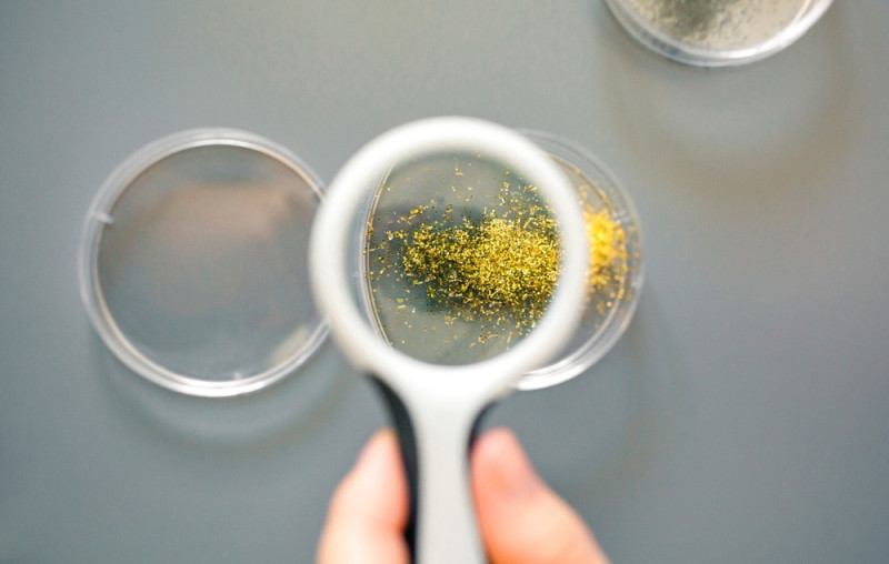 Close,Up,Of,Female,Scientist,Hand,Holding,A,Magnifying,Glass