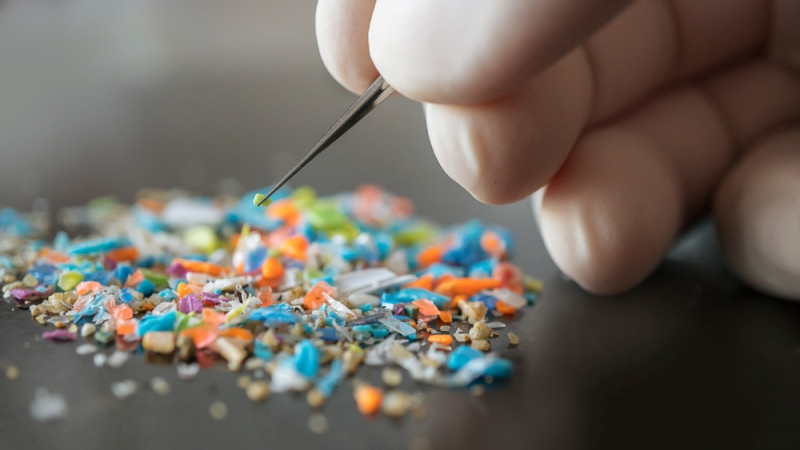 Macro,Shot,Of,A,Person,With,Medical,Gloves,And,Tweezers