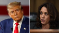 colaj foto donald trump kamala harris