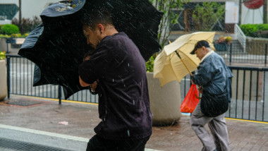 Hong Kong Eases Back to Normalcy as Typhoon Signal Drops