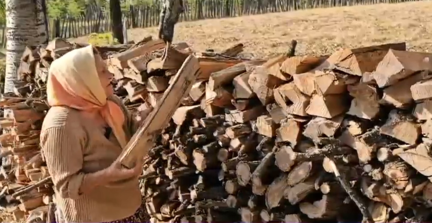 "Sunt foarte scumpe, scumpe foc!”. Românii de la sate au început aprovizionarea cu lemne de foc pentru iarnă