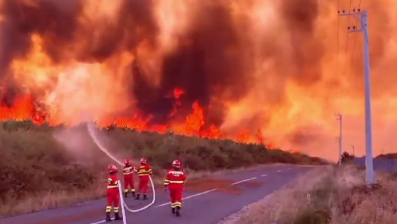 pompieri la un incendiu de vegetatie