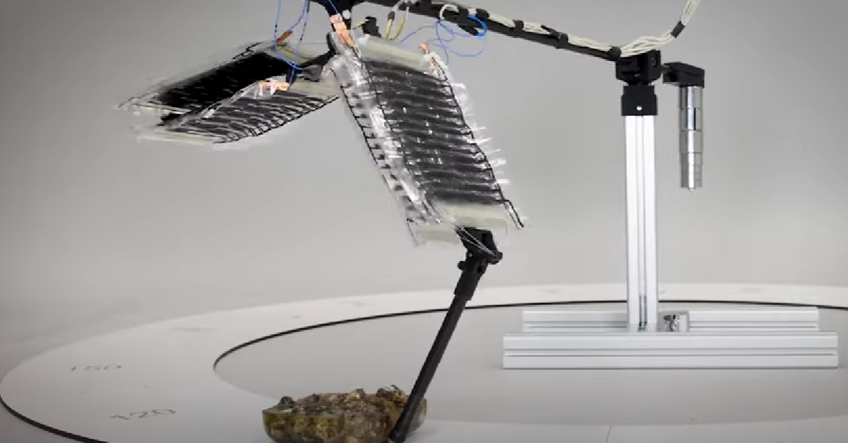 A fost inventat primul picior robotic cu „mușchi artificiali”. Ce implicații are această tehnică pentru roboții umanoizi
