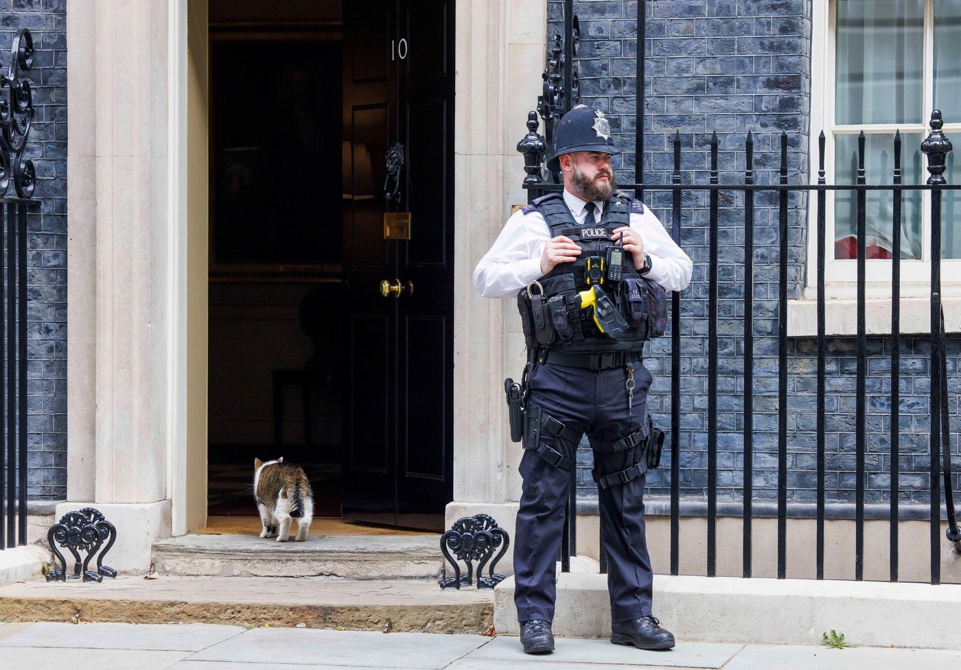Pisica Larry, de la Downing Street 10, va trebui să accepte o surată. Familia premierului își aduce propria felină