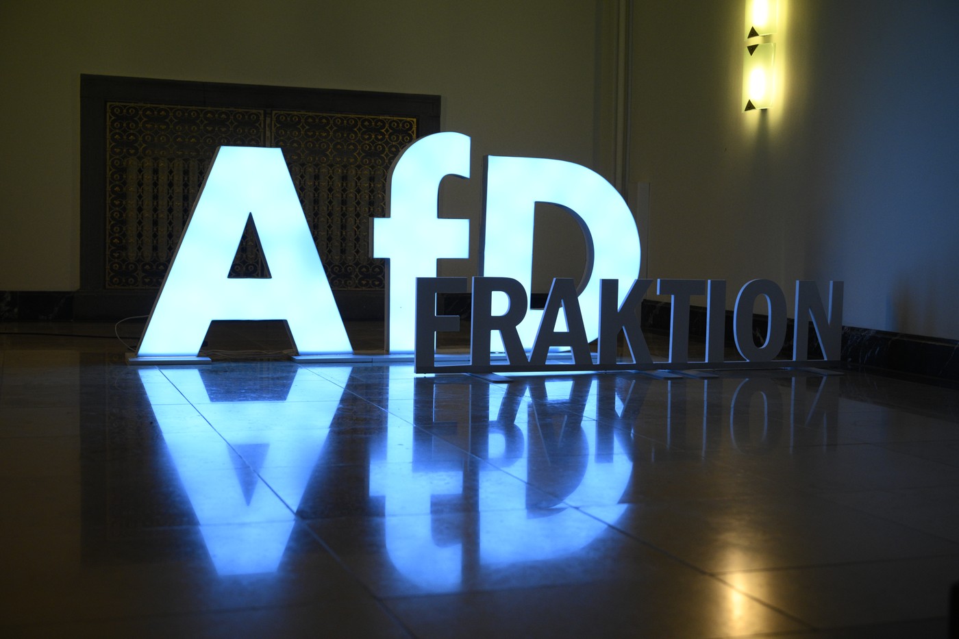 Victoria AfD, partidul de extremă-dreapta din Germania, nu e ca o boală care vine și trece. Popularitatea acestuia continuă să crească