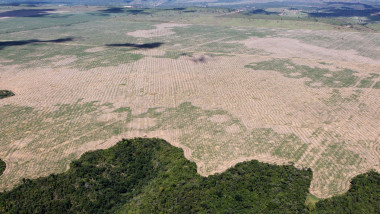 Deforestation in Brazil