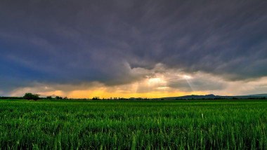 Starea agriculturii (1280x720px)