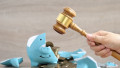 Financial,Problem,,Woman,Hand,Holding,Gavel,Wooden,And,Broken,Piggy