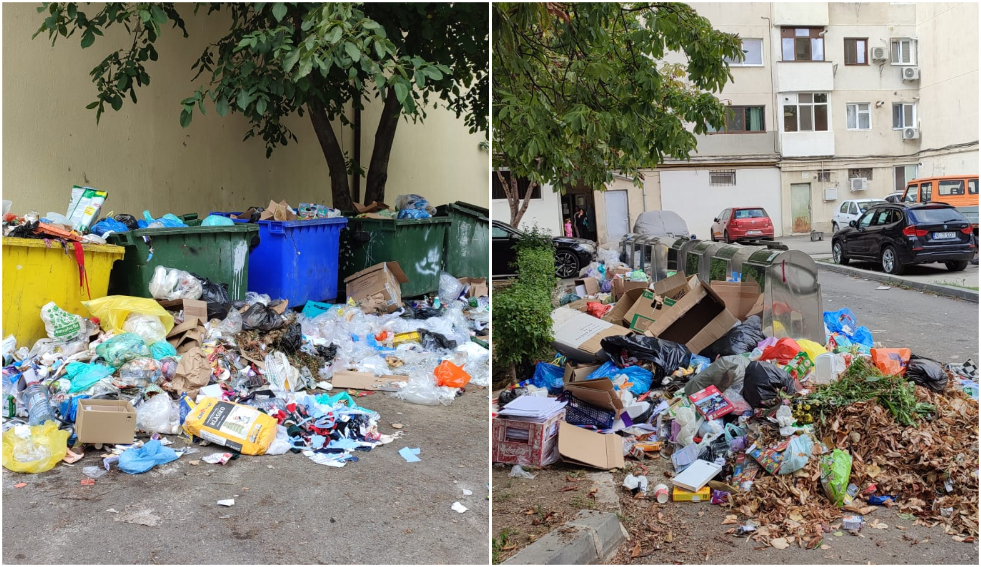 Orașul din Vâlcea care se sufocă din cauza munților de gunoaie, în timp ce primarul este în concediu