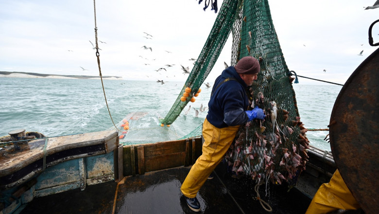 pescar pescador