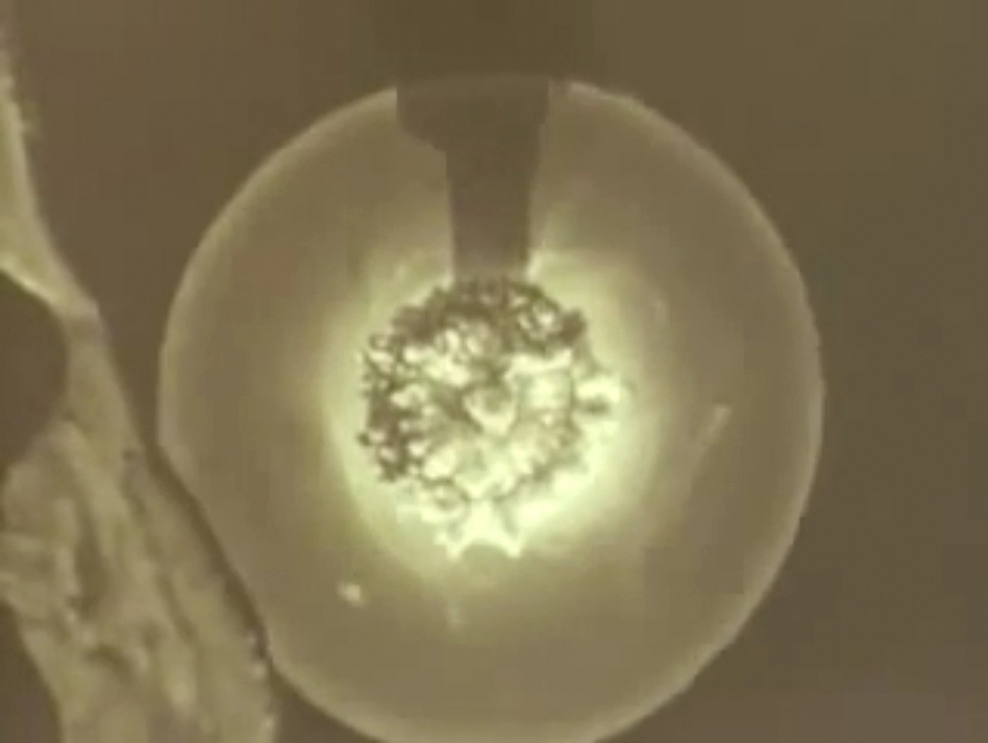 Rusia este pregătită să reia testele nucleare. Ar fi primul ordin de acest gen după o pauză de 34 de ani