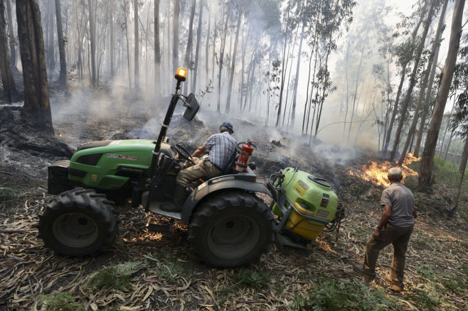 Wildfires continue to rage in Sever do Vouga, Portugal - 17 Sep 2024