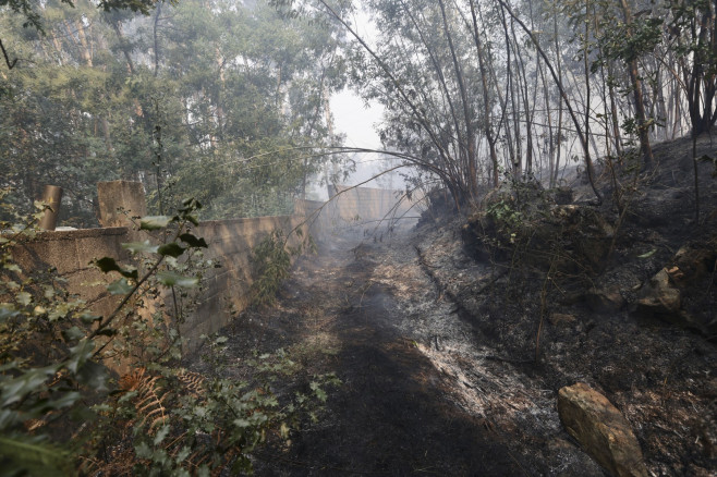 Wildfires continue to rage in Sever do Vouga, Portugal - 17 Sep 2024