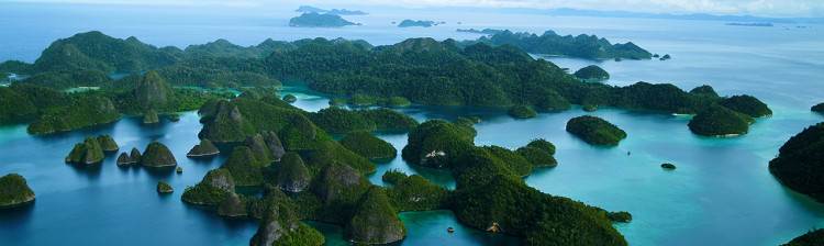 Orașul de corali | ep. 4