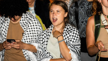 Greta Thunberg, în timpul unui protest. Foto: Profimedia Images