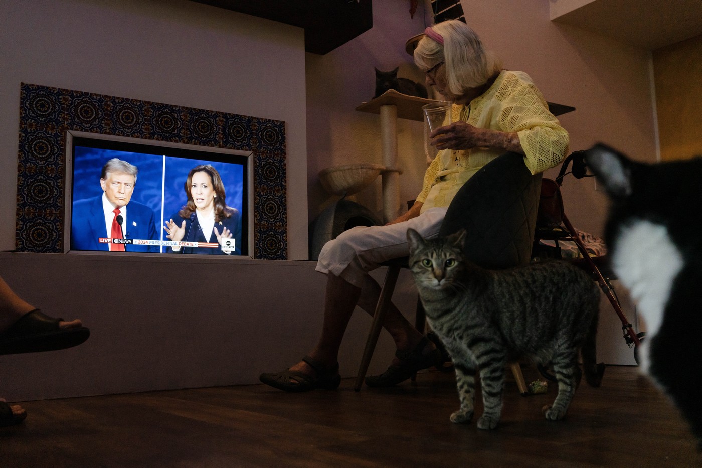 Cum a arătat dezbaterea Harris - Trump pe rețelele sociale. „Au mâncat câinii și pisicile” a devenit subiect viral pe platforma X