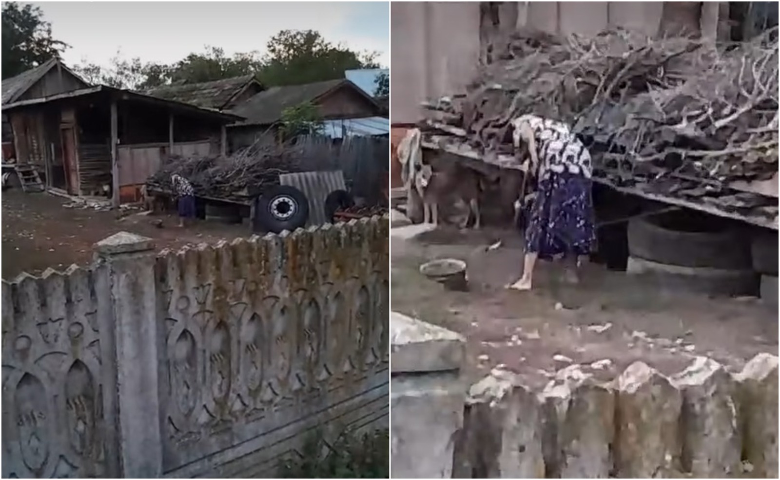 Un polițist din Dolj e anchetat de șefi, după ce o femeie și-a ucis câinele în bătaie. Replica lui când a văzut imaginile cu agresiunea