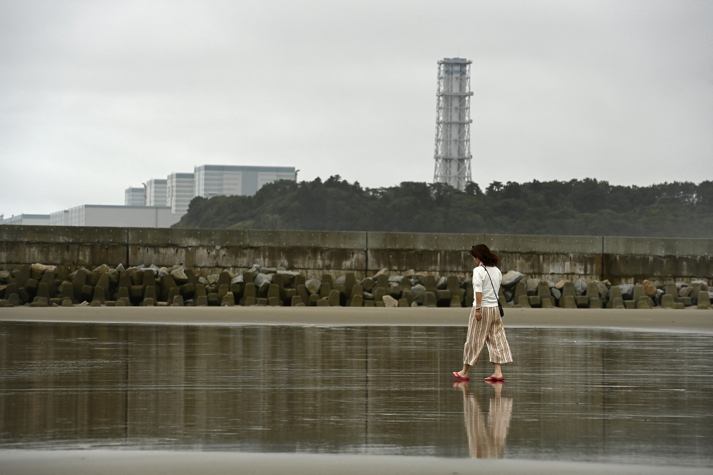 Japonia va refolosi milioane de metri cubi de sol contaminat cu radiațiile dezastrului nuclear de la Fukushima